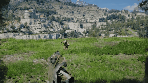 Rage skill animation in Crimson Desert