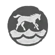 Water sprint icon