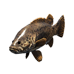Leopard Perch fish icon from Crimson Desert