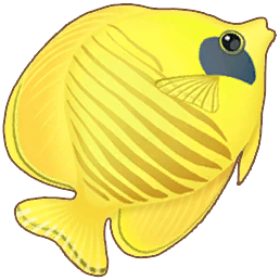 Butterflyfish