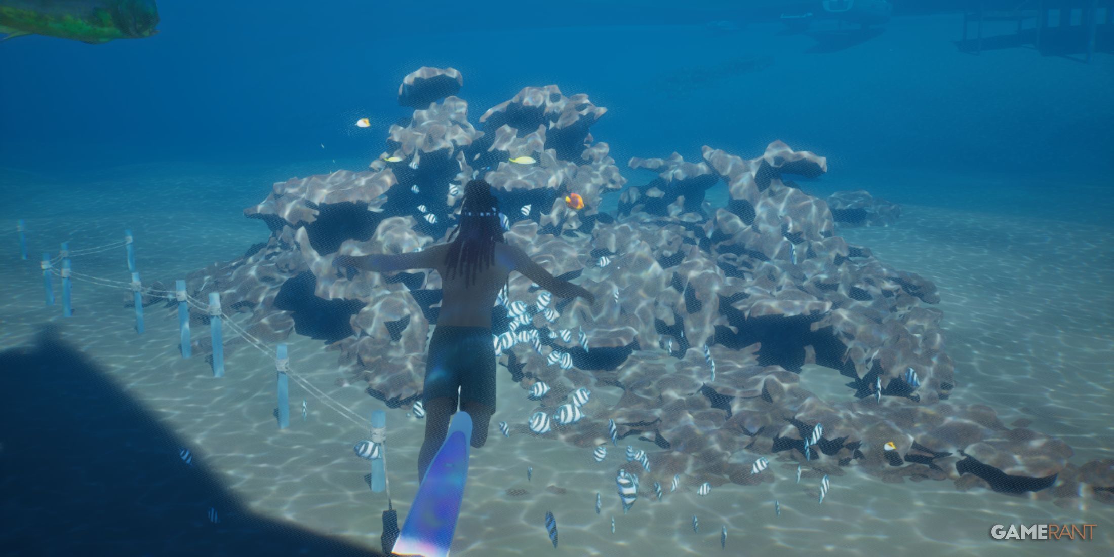 Snorkeling and underwater exploration near coral reefs in Cahaya