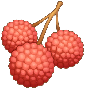 Lychee