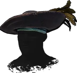 Flibustier's Hat