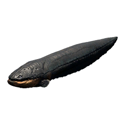 Electric Eel fish icon from Crimson Desert