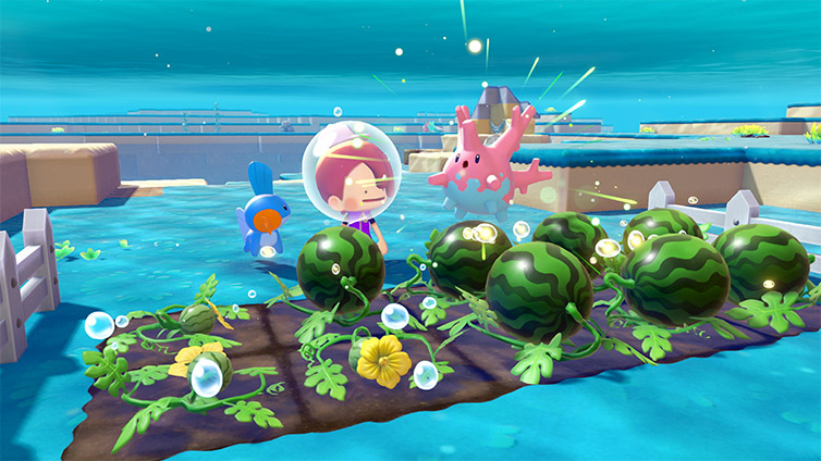 Watermelon crops growing underwater in Bubbly Basin