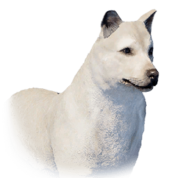 Jindo lifeform icon from Crimson Desert
