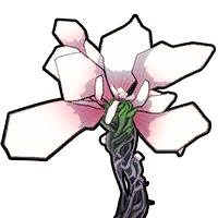 Serenetti boss portrait