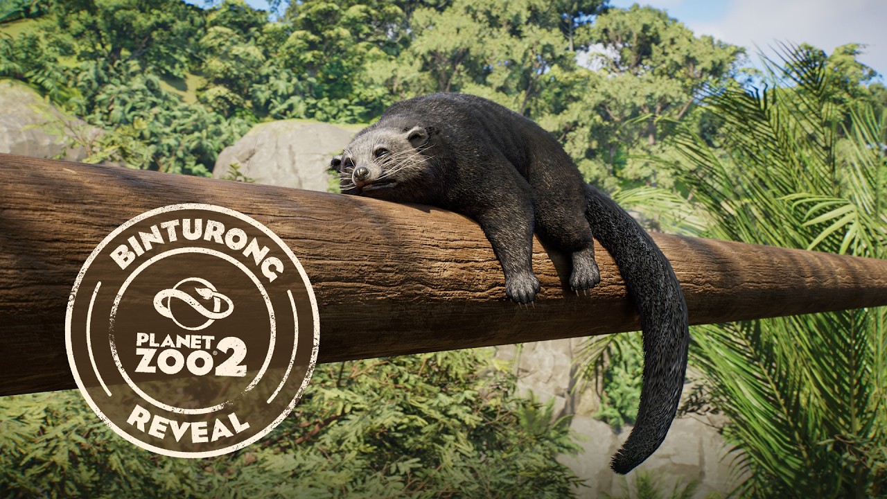 A binturong resting along a wooden log in a leafy habitat, with the official reveal badge