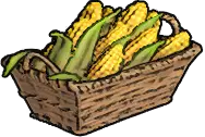Basket of Corn