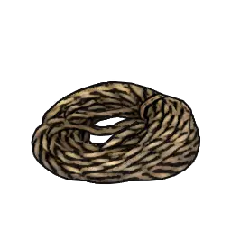 Rope Coil