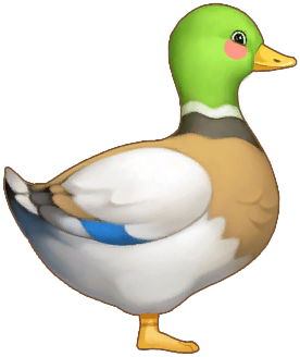 Jade Duck