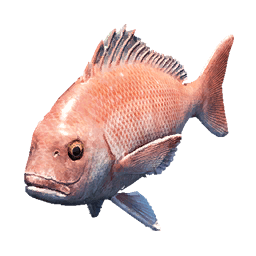 Red Seabream fish icon from Crimson Desert