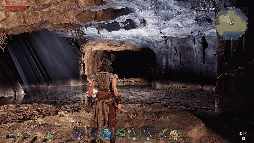 Windrose underground cave system lit by torchlight