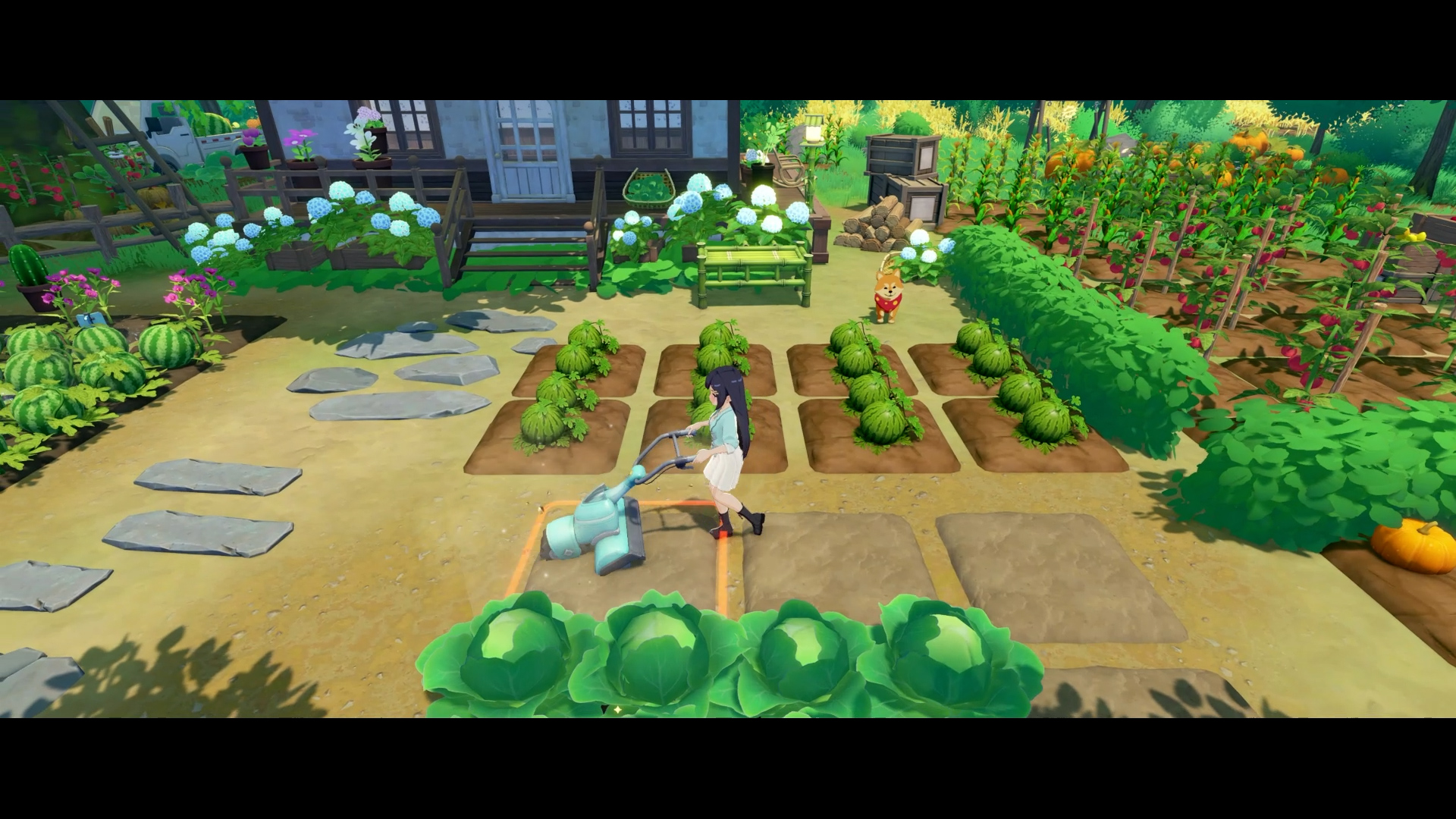 Farming crops with sprinklers and hydrangeas in bloom