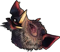 Boar Head