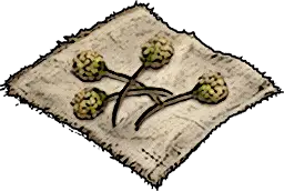 Shrub