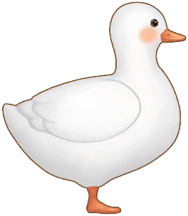 White Duck