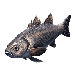 Bass fish icon from Crimson Desert
