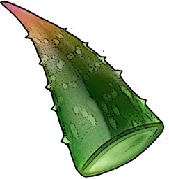 Aloe Leaf