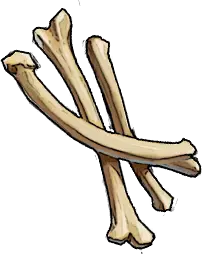 Bones