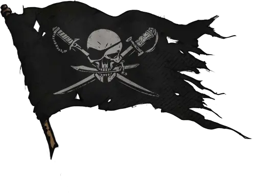 Brethren of the Coast Flag