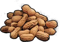 Nuts