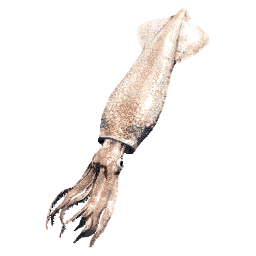 Squid aquatic creature icon from Crimson Desert