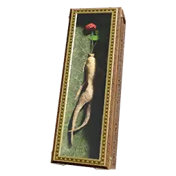 Packaged Red Ginseng