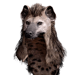 Hyena Helm headgear icon in Crimson Desert