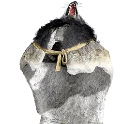 Ashen Wolf's Leather Cloak