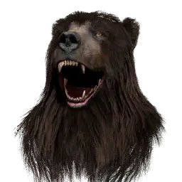 Black Bears' Leather Helm