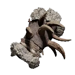 Crowcaller's White Leather Gloves