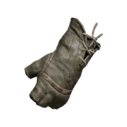 Laplace Leather Gloves