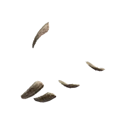 Nameless Sage's Leather Gloves