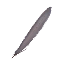 Feather