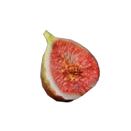 Fig Seed in Crimson Desert