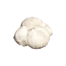 Fleece