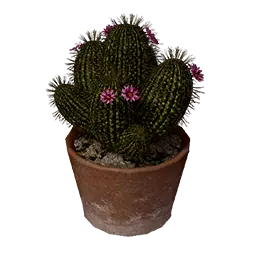 Flower-Decorated Cactus Pot