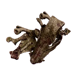 Large Bone