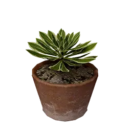 Leafy Pot