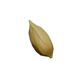 Orange Seed in Crimson Desert