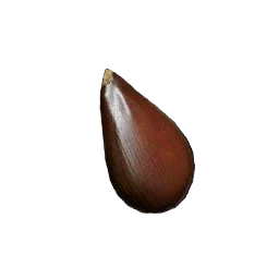Pear Tree Seed in Crimson Desert