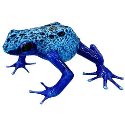 Poison Frog