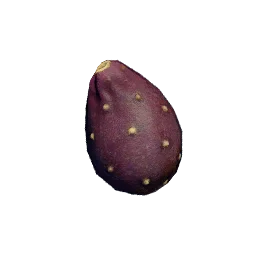 Prickly Pear Seed