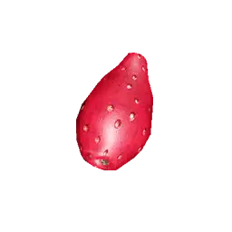 Prickly Pear
