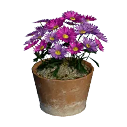 Purple Gerbera Flower Pot