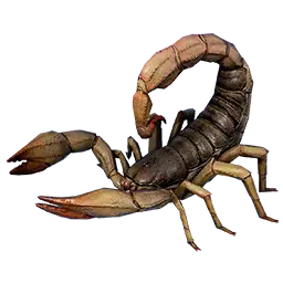 Scorpion
