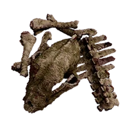 Small Bone