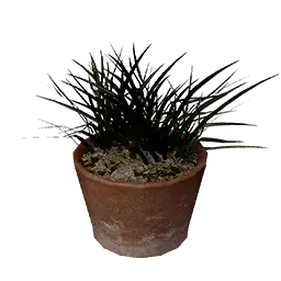 Small Plant Pot