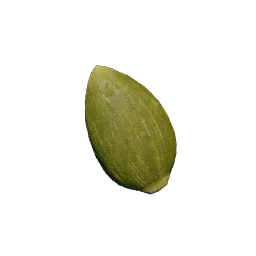 Taro Seed in Crimson Desert